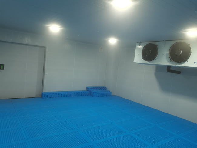 2-8度醫(yī)藥冷庫建造案例（臺州仙琚藥業(yè)）